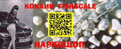 мдпв Камышлов