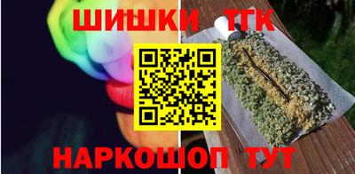 мдпв Камышлов