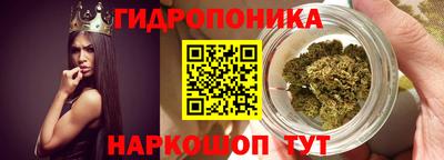 мдпв Камышлов