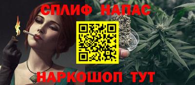 прущие грибы Канаш