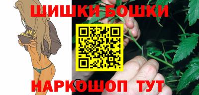 мдпв Камышлов