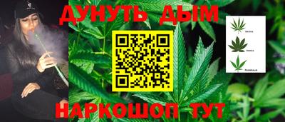 мдпв Камышлов