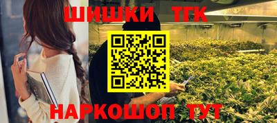 мдпв Камышлов