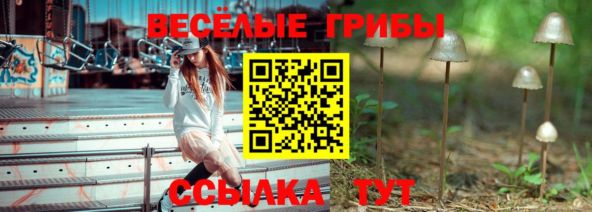 Псилоцибиновые грибы ЛСД  купить наркотики сайты  Вход с VPN  Златоуст  Галлюциногенные грибы Psilocybine cubensis 
